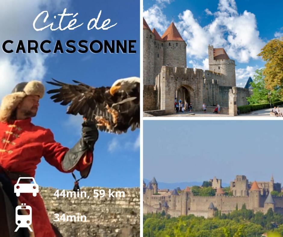La Cabane Bleue, T1 A Narbonne Dış mekan fotoğraf